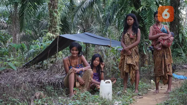 Orang Rimba Jambi