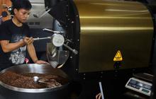 FOTO: Menggenjot Produktivitas Kopi Indonesia Agar Bisa Hasilkan 8-9 Ton per Hektar