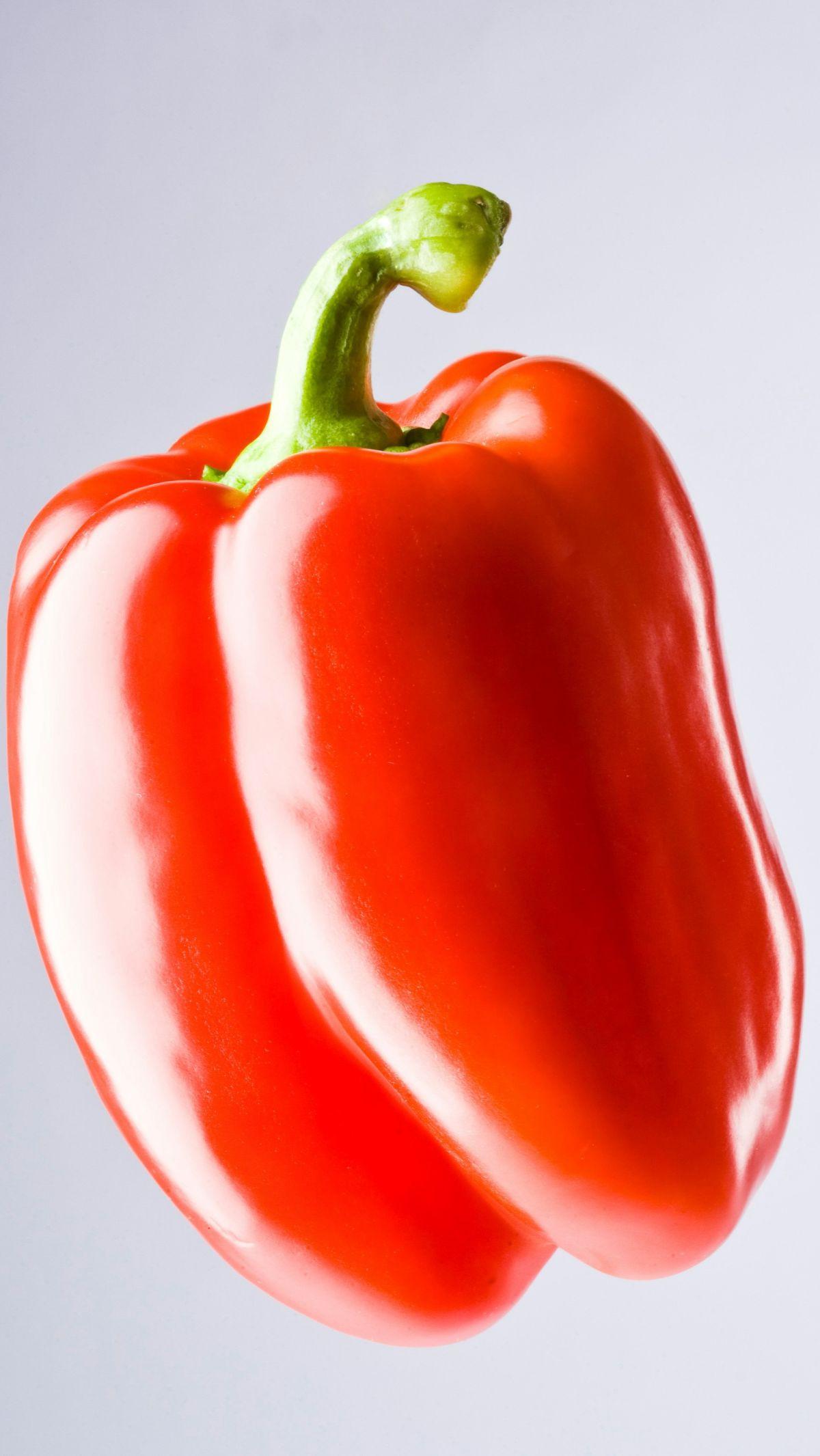 Paprika Merah