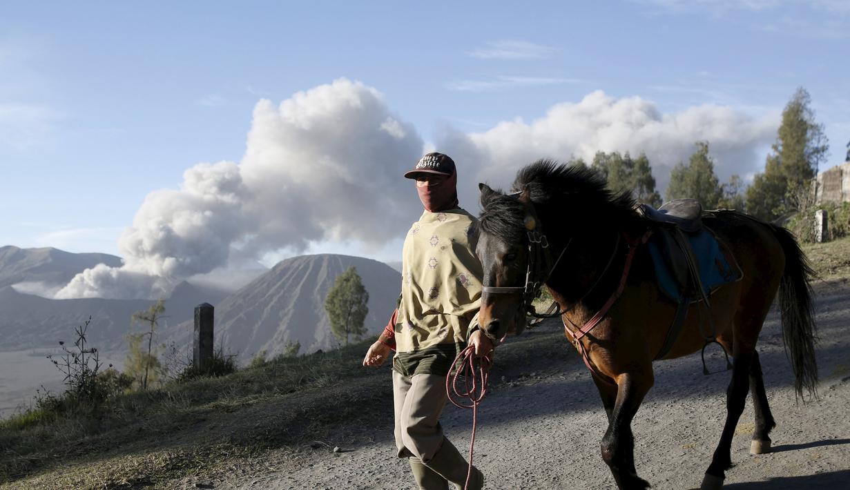 Seorang pria sambil menuntun kuda miliknya berjalan dengan latar belakang semburan abu vulkanik dari Gunung Bromo yang sedang erupsi di Ngadisari, Probolinggo, Jawa Timur, Rabu (6/1/2016). (REUTERS/Darren Whiteside)