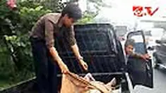 liputan6