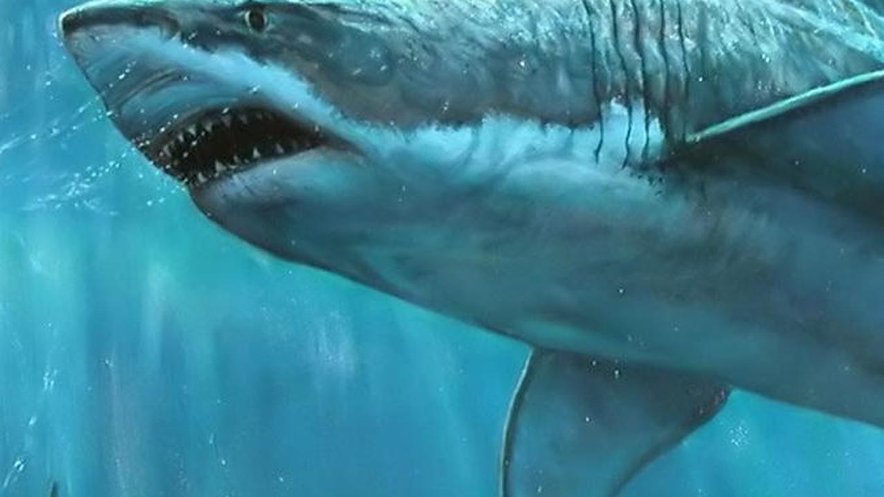 Dengan memiliki darah panas, hewan ini dipercaya dapat bertahan hidup pada air laut yang semakin mendingin pada kala itu.