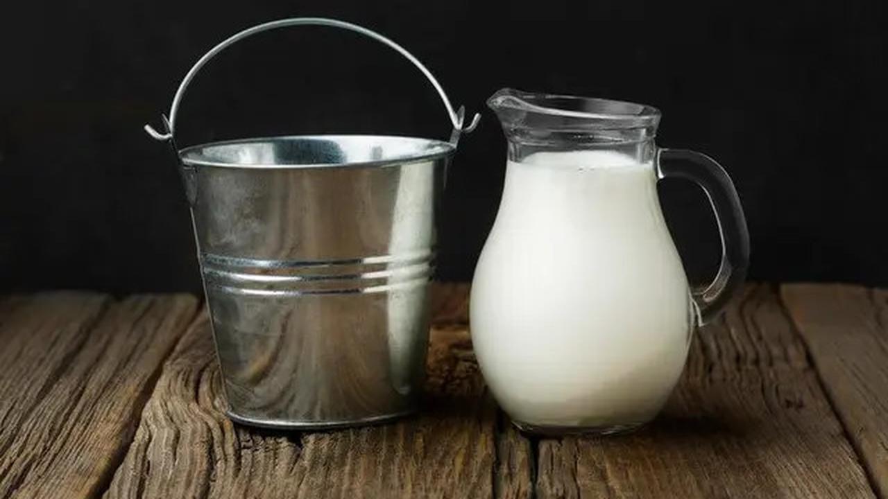 4 Rekomendasi Minuman yang Menyehatkan Ginjal, Jangan Lupa Dikonsumsi Rutin