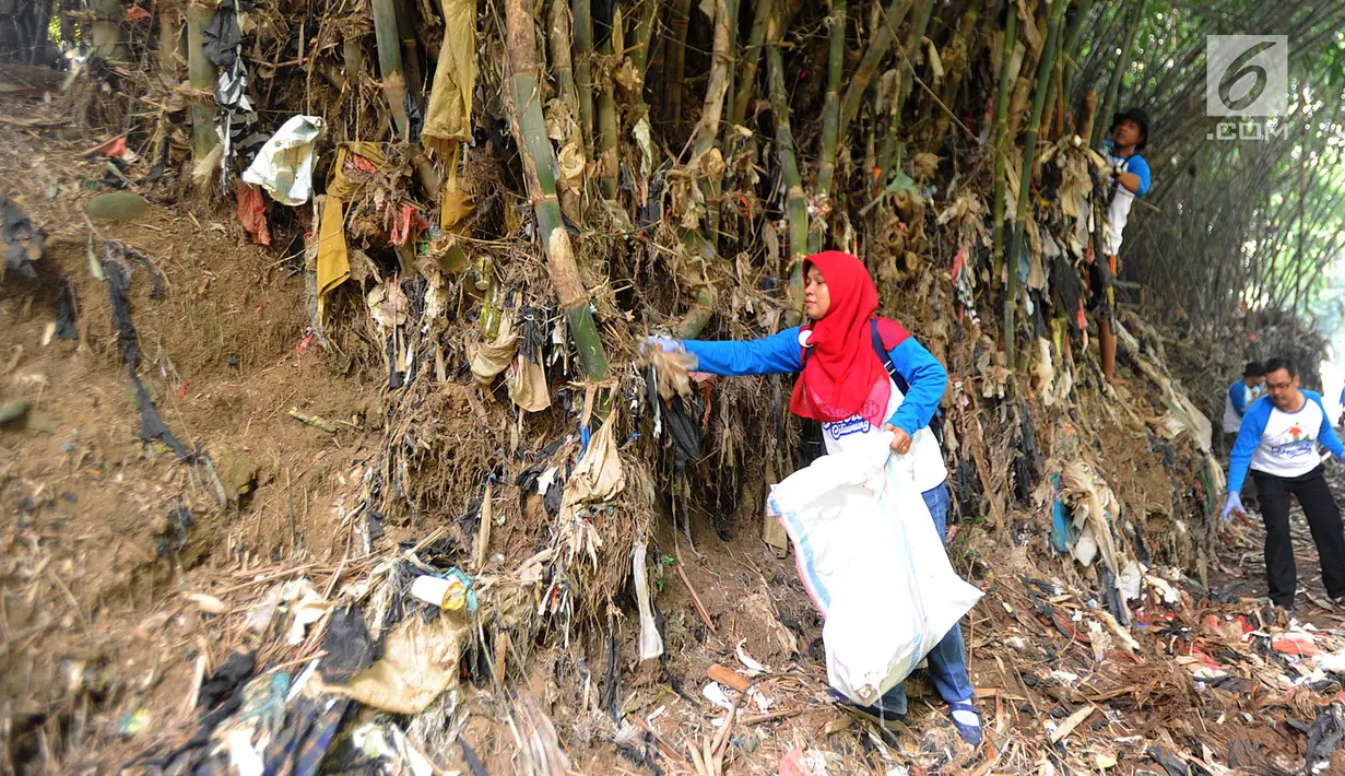Sukarelawan memunguti sampah yang tersangkut di pohon bambu aliran sungai saat kegiatan Bebersih Ciliwung di Yayasan Bambu Indonesia, Cibinong, Bogor, Jawa Barat, Minggu (23/6/2019). Sebanyak 8.000 peserta mengikuti kegiatan Bebersih Ciliwung. (merdeka.com/Arie Basuki)