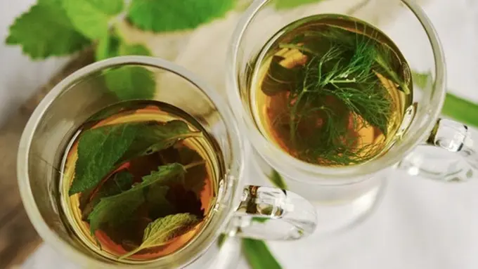 [bintang] Menilik Kepribadian Seseorang Lewat Kesukaannya pada 5 Teh Ini