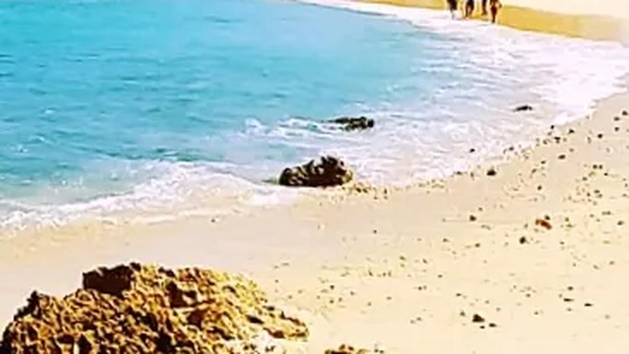 50 Kata Motivasi tentang Pantai & Laut yang Indah, Cocok Buat Untaian Kalimat Menenangkan
