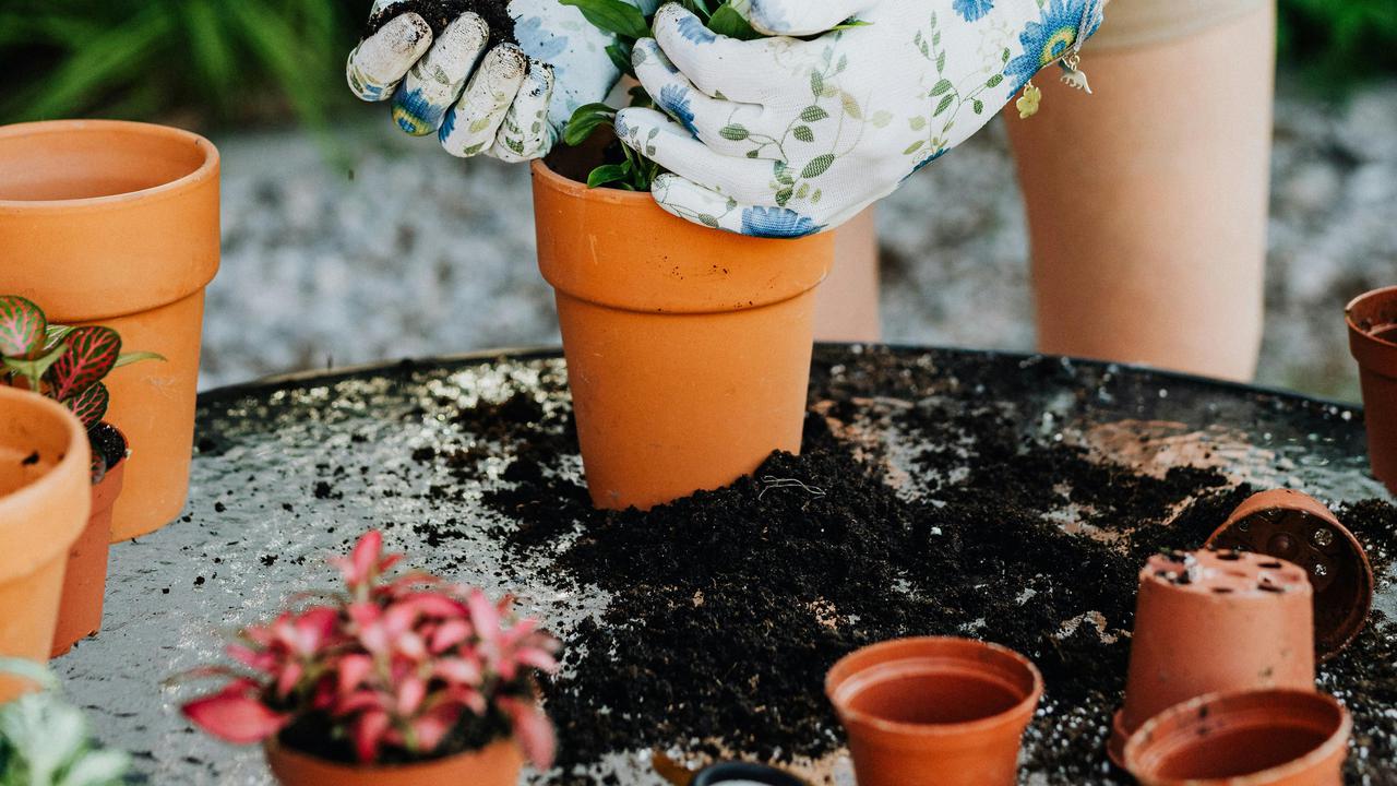 Jenis Kegiatan Berkebun yang Memberikan Latihan Fisik