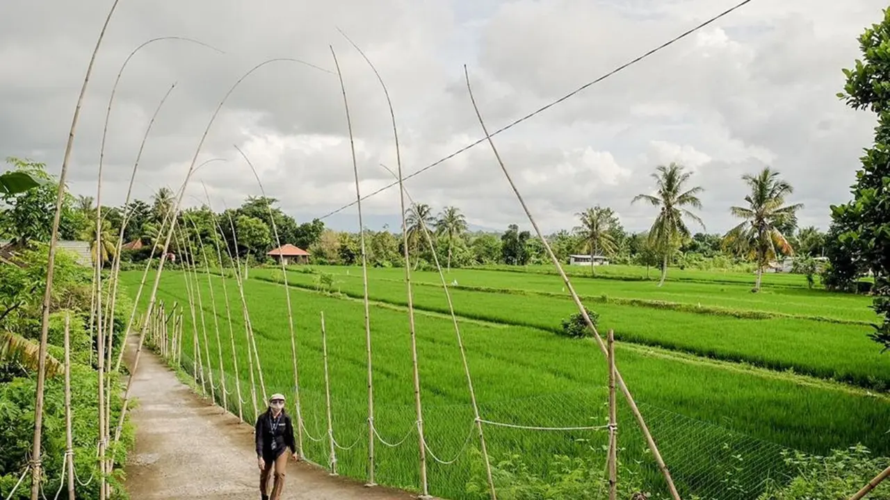 Desa Wisata