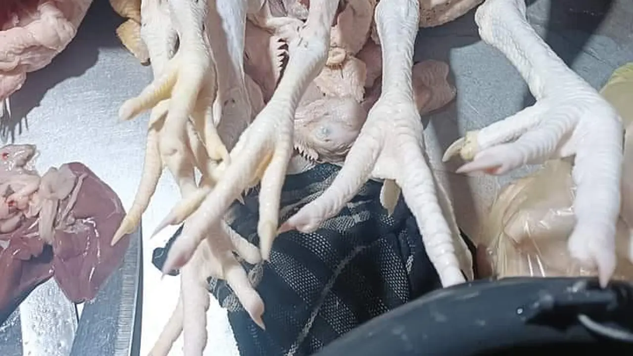 Tanpa Daun Nangka, Ini Cara Rebus Ayam Kampung yang Alot Agar Cepat Empuk