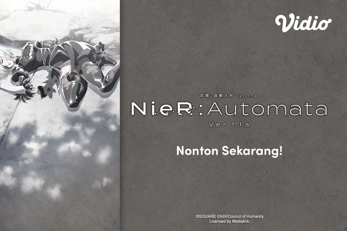 NieR: Automata Ver1.1a
