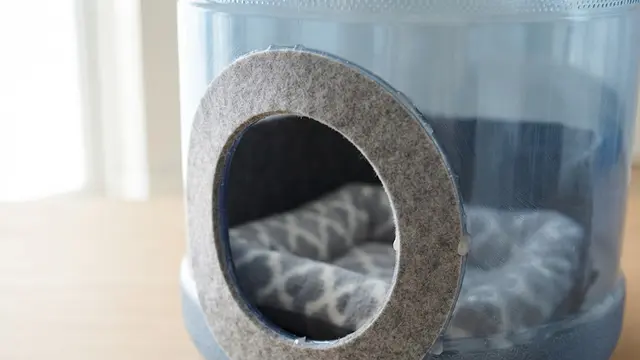 Langkah-Langkah Membuat Rumah Kucing DIY dari Galon Bekas