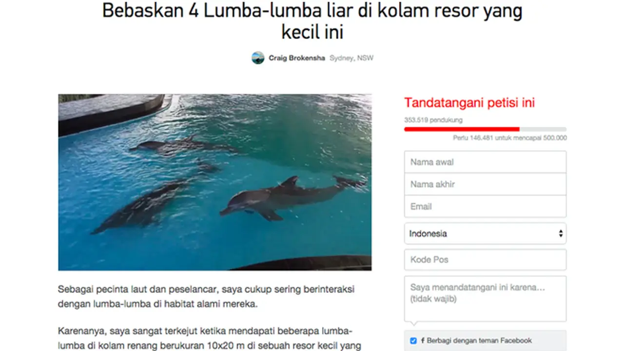 Ini Tanggapan Menteri LHK Soal Petisi Lumba-lumba di Bali