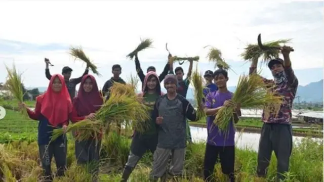 The Learning Farm