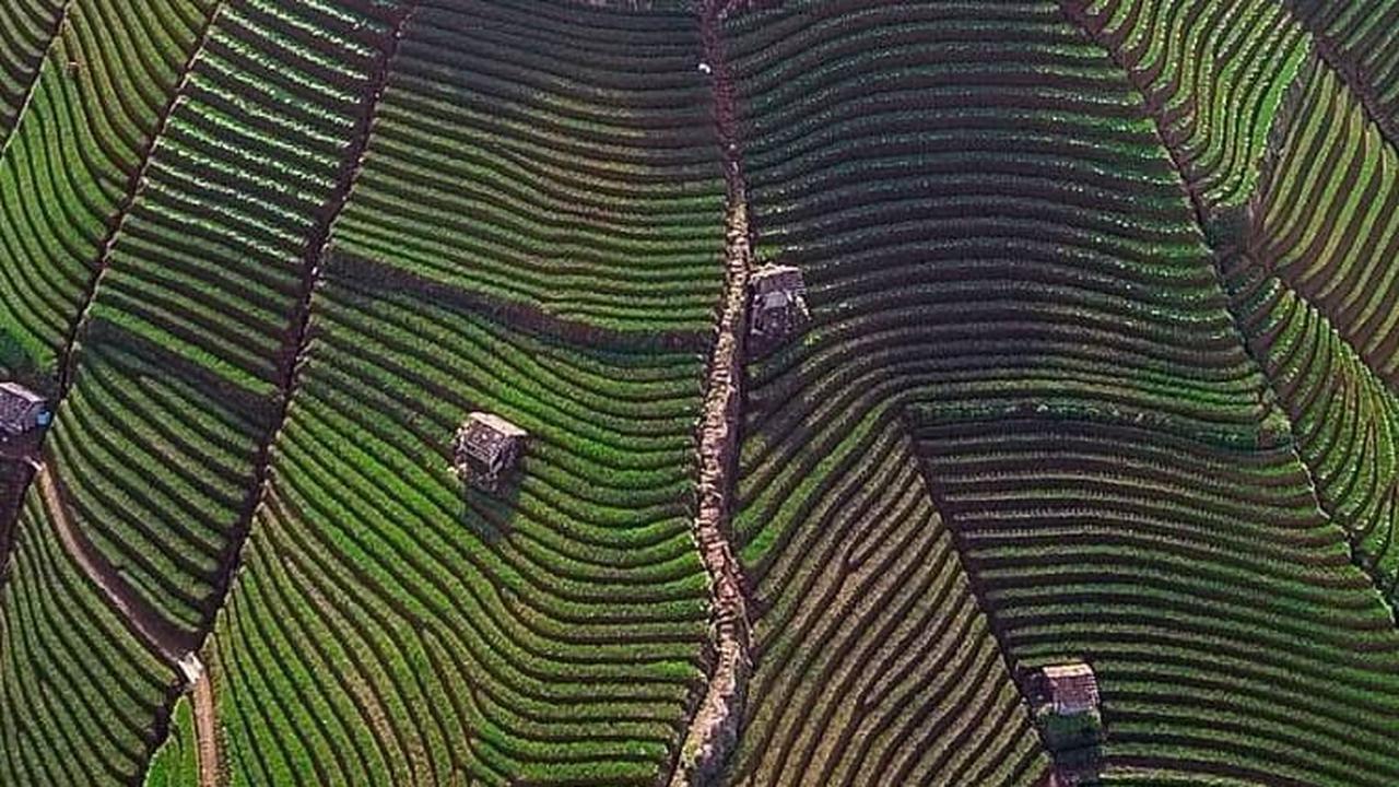 10 Wisata di Majalengka yang Populer, Tawarkan Pesona Memukau