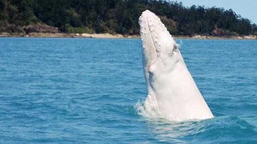 Jinsiy aloqa paytida qizni sokish