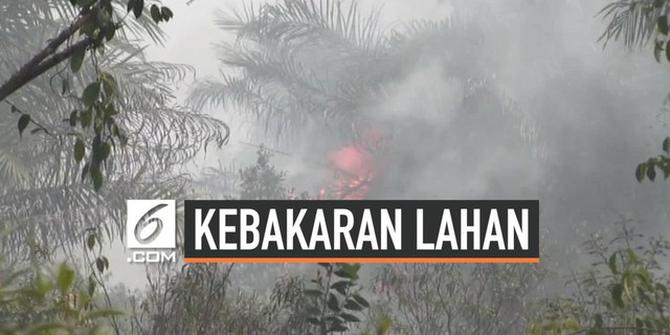 VIDEO: Kebakaran Lahan Gambut di Sumsel Capai 60 Hektar