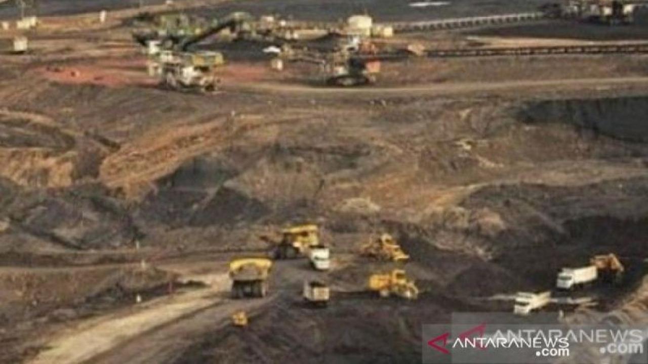 India Minat Investasi Hilirisasi Logam Indonesia, Perkuat Ketahanan Energi Nasional