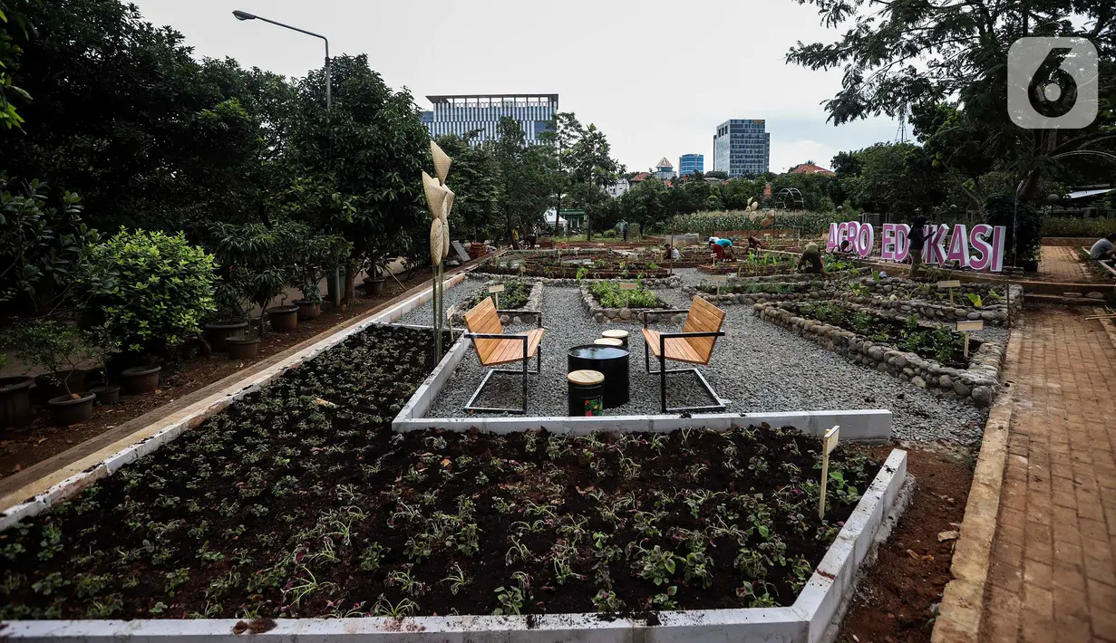 Aktivitas di kawasan Agro Edukasi Wisata Ragunan, Jakarta Selatan, Selasa (15/12/2020). Agro Edukasi Wisata Ragunan seluas 2,2 hektare tersebut untuk mengakomodir tingginya minat warga Ibu Kota dalam bercocok tanam di masa pandemi Covid-19. (Liputan6.com/Johan Tallo)