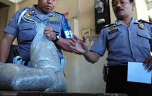 Polres Sleman kembali dapatkan 52 kg Merica palsu dari Solo