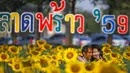 Sepasang kekasih berselfie dengan latar belakang bunga matahari yang tengah mekar di sebuah ladang di Bangkok, Thailand, Rabu (13/1/2016). (REUTERS / Athit Perawongmetha)
