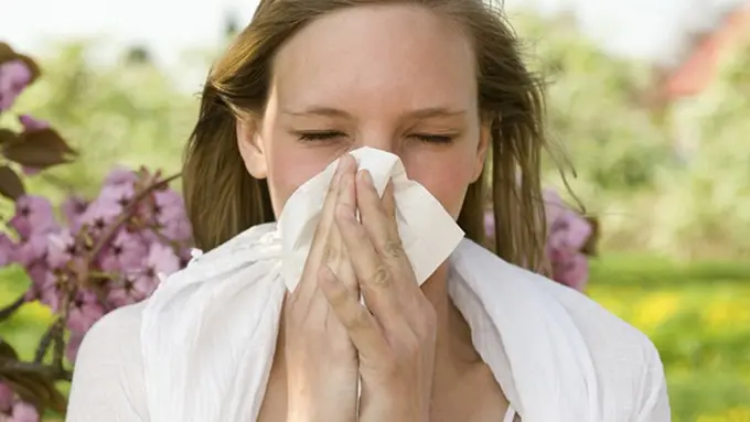 Foto: copyright thinkstockphotos.com