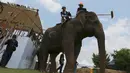 Seorang pemain Polo menunggang gajah didampingi pawangnya saat mengikuti turnamen Elephant Polo King's Cup di Bangkok, Thailand (8/3). Dalam turnamen ini setiap gajah ditunggangi oleh pemain dan pawangnya. (AP Photo / Sakchai Lalit)