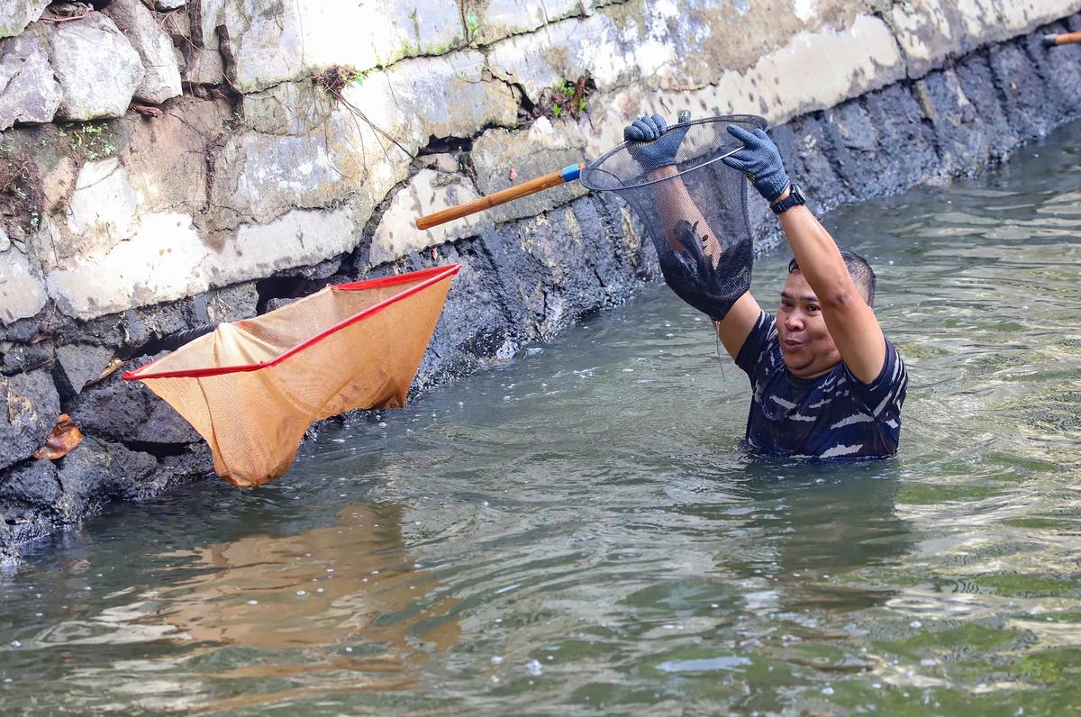 FOTO: TNI AL Bantu  Memusnahkan Ikan Sapu Sapu di Setu babakan