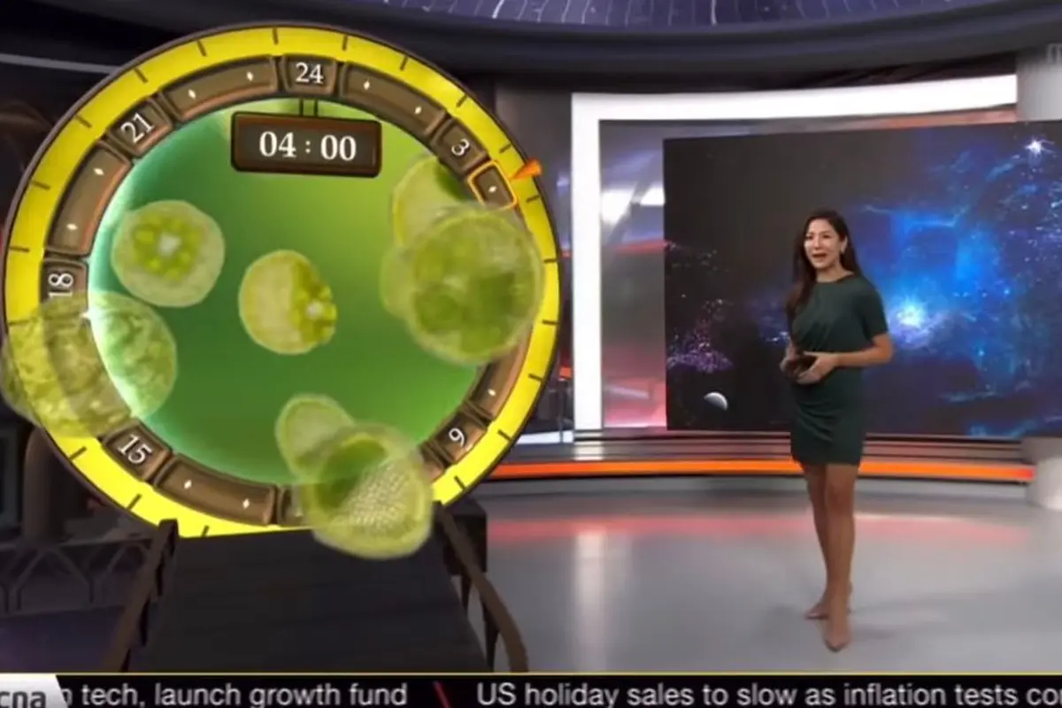 Presenter CNA Julie Yoo