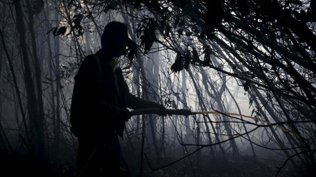 Kisah heroik warga Sumsel bantu padamkan kebakaran hutan