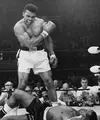 Dunia olahraga kembali berduka, seluruh dunia kehilangan sesosok atlet tinju yang begitu menganggumkan di kancah dunia. Muhammad Ali meninggal di usia 74 tahun karena penyakit parkinson. (dailymail/Bintang.com)