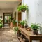 8 Inspirasi Kebun Pakis Hias untuk Lorong Rumah, Hadirkan Nuansa Alami