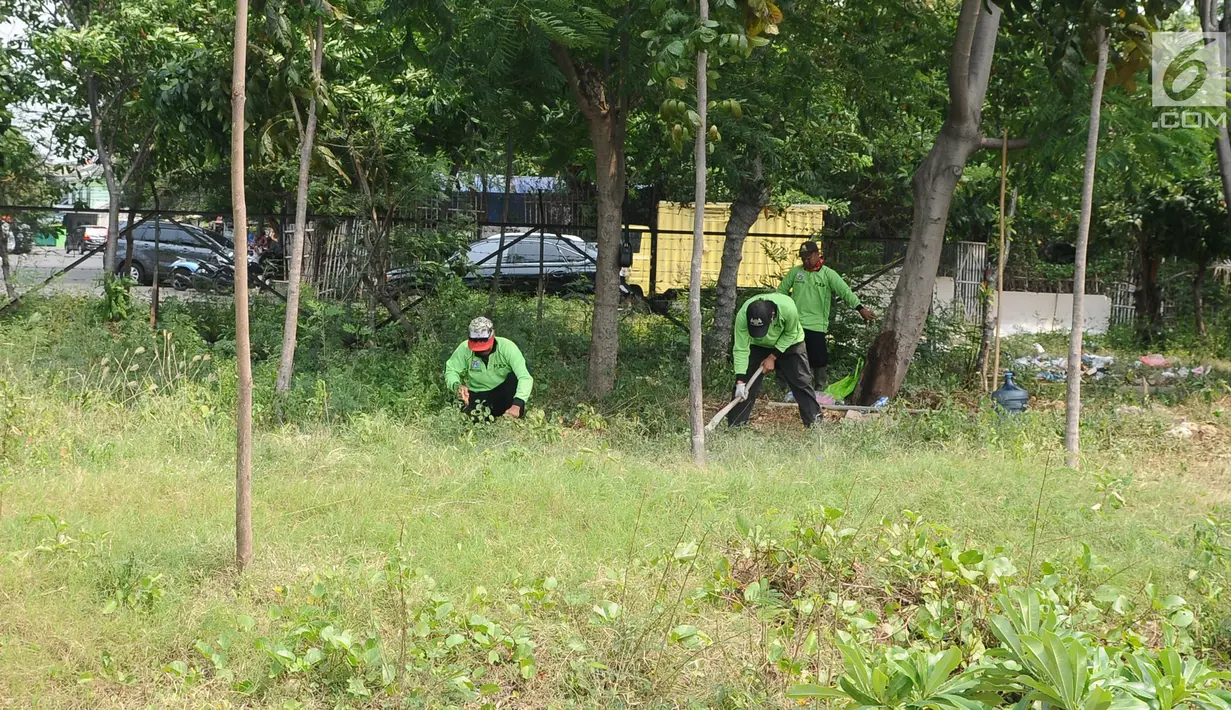 Petugas membersihkan rumput di kawasan Waduk Cincin, Jakarta, Selasa (8/1). Pemerintah Kota Administratif Jakarta Utara berencana menata kawasan Hutan Kota Waduk Cincin yang berlokasi di kawasan Sunter, Jakarta Utara. (Liputan6.com/Herman Zakharia)