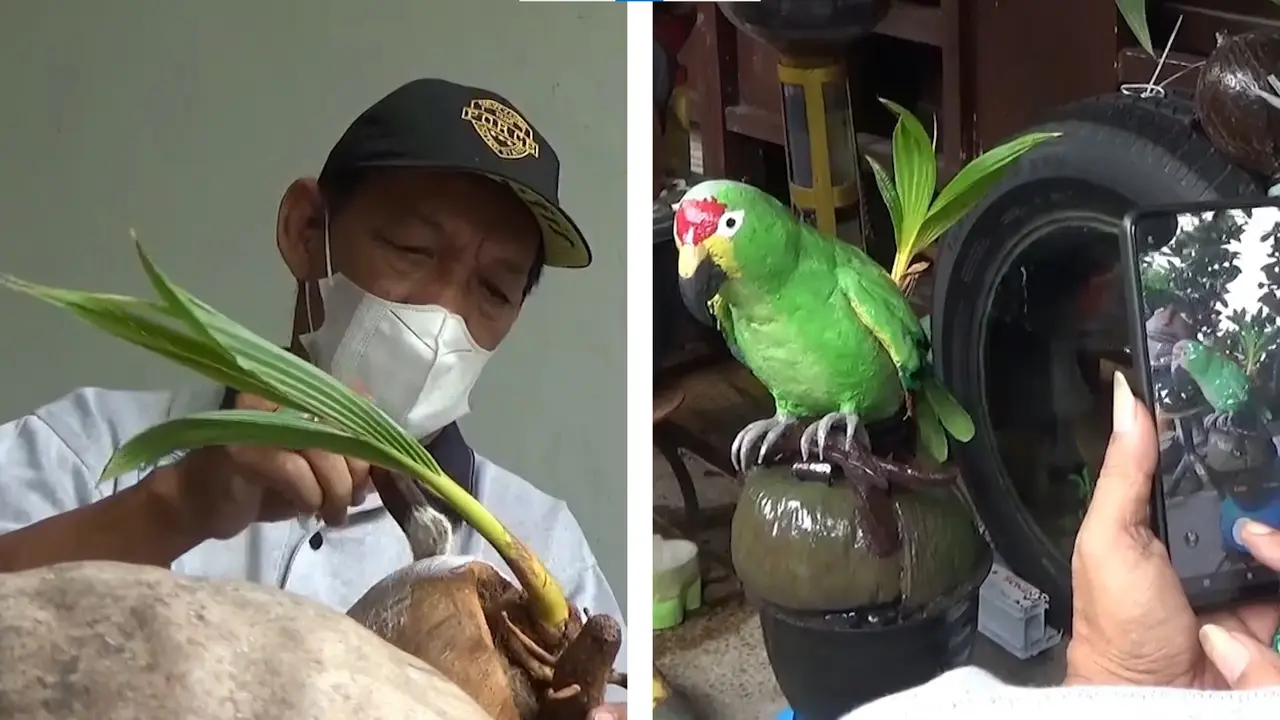 Puji Hartono, Seniman Bonsai Kelapa Ukir