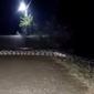 Penampakan ular piton saat keluar malam hari di Bojonegoro. (Istimewa)