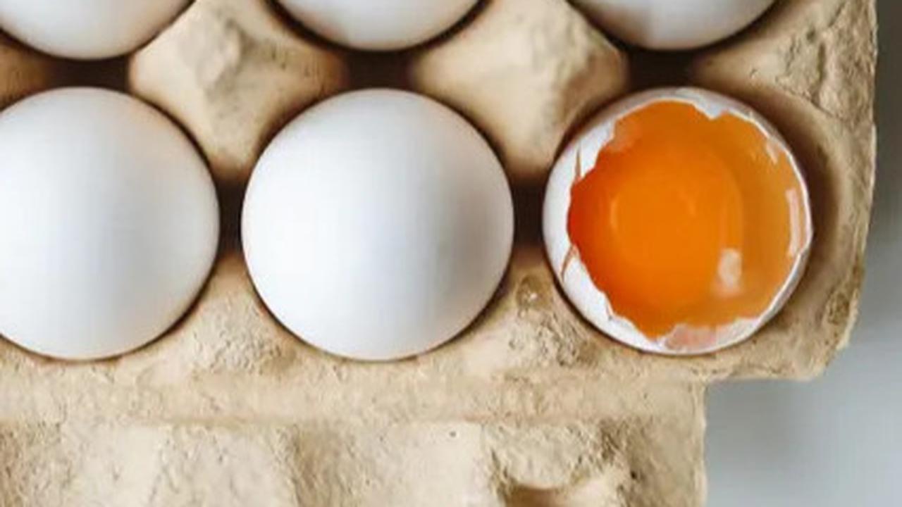 Jadikan Diri Kelinci Percobaan, Mahasiswa Ini Makan 720 Telur Ayam Sebulan