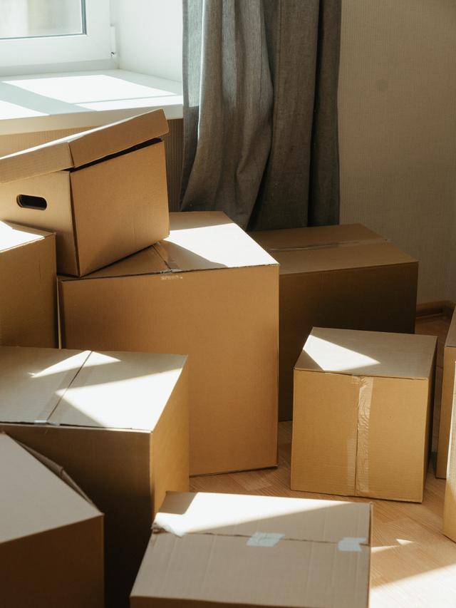 Ilustrasi kardus bekas | pexels.com