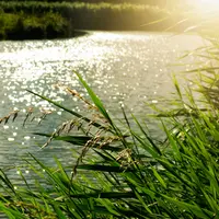 Ilustrasi makna mimpi tenggelam di sungai/copyright pexel/Mabel Amber