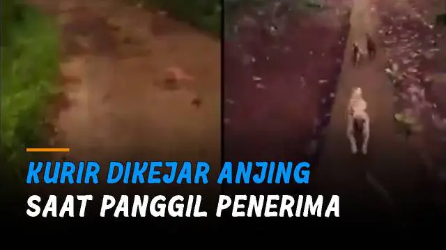 Sang kurir cukup lincah saat kabur karena tak jatuh saat melaju kencang di jalan yang sempit.