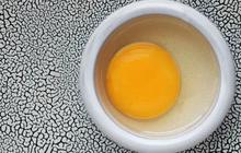 Benarkah Semakin Gelap Warna Kuning Telur Maka Semakin Tinggi Nutrisinya?