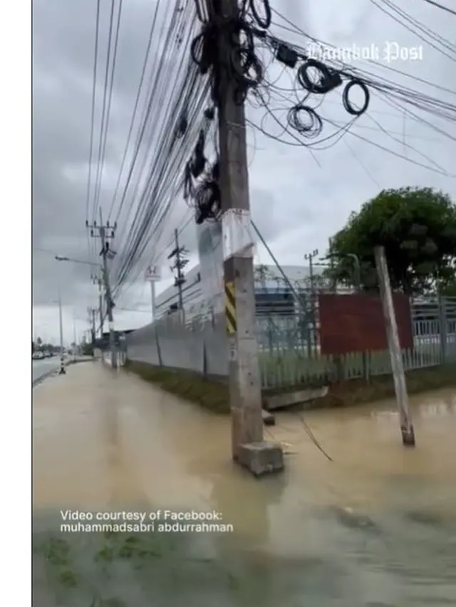 Viral Ular Piton Raksasa Berenang di Air Banjir, Diduga Telah Memangsa Anjing