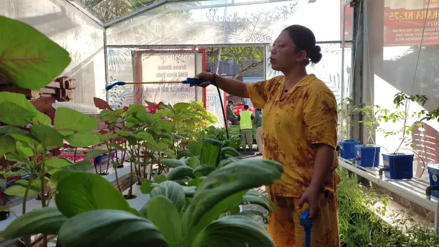 Kelompok Wanita Tani (KWT) Kota Pala