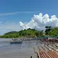 Hamparan Hutan Mangrove di Sungai Limau, Sungai Kunyit, Mempawah, Kalbar. (Liputan6.com/Aceng Mukaram)