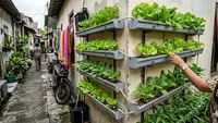 7 Inspirasi Kebun Mini Hidroponik untuk Rumah di Gang Sempit, Hijaukan Lahan Terbatas