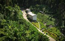 IWIP Hadirkan Sanctuary Park, Kawasan Konservasi Dukung Perlindungan Flora dan Fauna