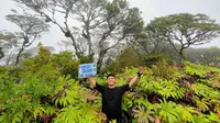 Puncak Gunung Salahutu di Ambon. (Dok: Instagram https://www.instagram.com/p/CppLtkNv7jv/?igsh=dHFkd2gzYmptdnps)&nbsp;