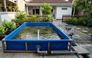 6 Ide Kolam Lele dengan Sistem Pembuangan Air, Bikin Perawatan Lebih Mudah