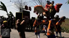 Beberapa anak di arak oleh sisingaan saat menjalani prosesi perayaan sunatan, di desa Jaya Bakti, Bekasi, Rabu (29/7/2015). Sisingaan adalah Tradisi Seni dari Kota Subang Jawa Barat. (Liputan6.com/JohanTallo)
