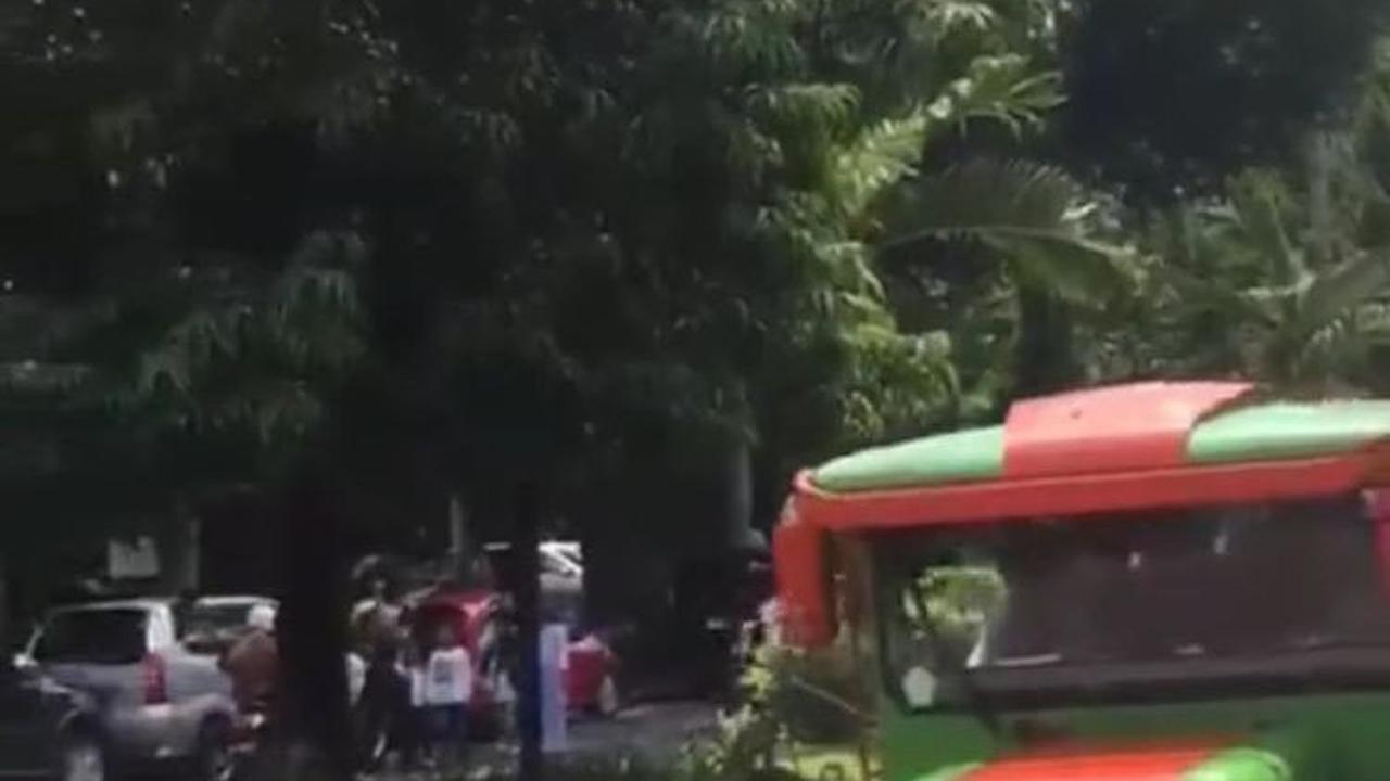 Aksi Wanita Bawa Kereta Kelinci di Momen Wisudanya Ini Viral, Curi Perhatian
