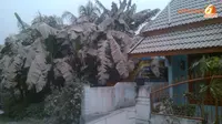 Abu Letusan Kelud Sampai Cilacap, Atap Rumah Berubah Jadi Putih