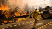 Petugas pemadam kebakaran berlari memindahkan truknya karena api mulai menjalar dengan cepat di kawasan Rocky Fire, San Francisco, California, Kamis (30/7/2015). Kewaspadaan tingkat tinggi diperlukan agar tidak menjadi korban. (REUTERS/Max Whittaker)